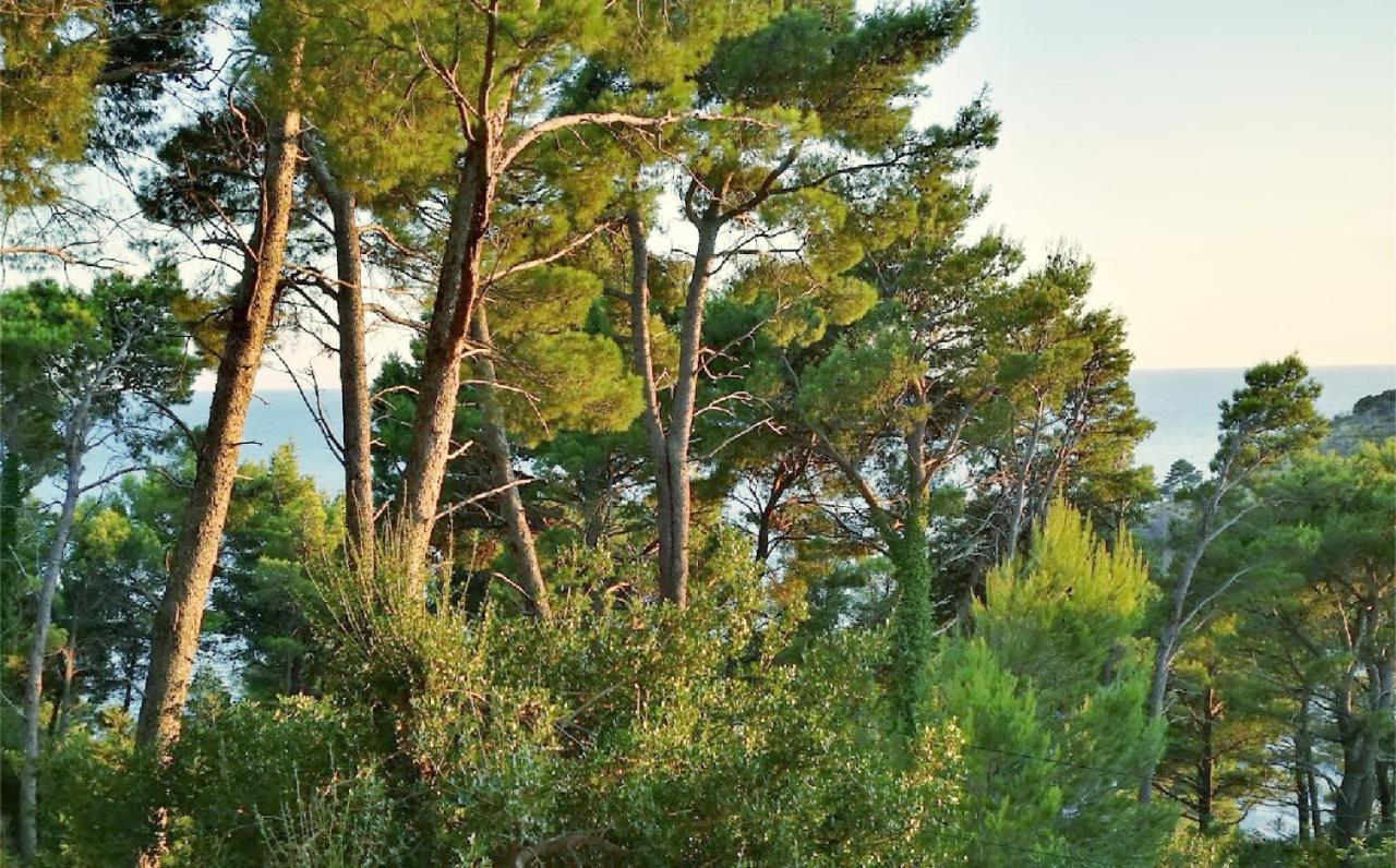 House In The Pines Βίλα Sutomore Εξωτερικό φωτογραφία